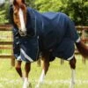 Titan 40g Turnout Rug With Snug-Fit Neck Cover 1 Titan 40g Turnout Rug With Snug-Fit Neck Cover -Premier Equine Store Titan 40 Turnout Rug Navy 1