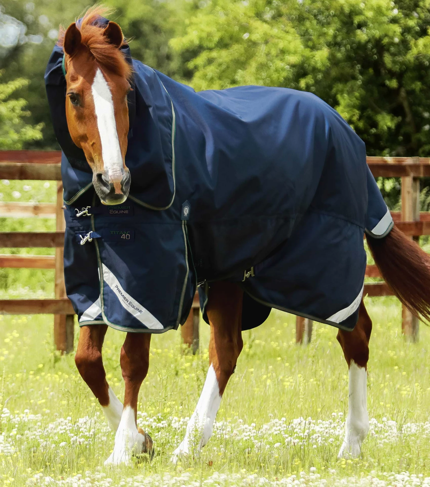 Titan 40g Turnout Rug with Snug-Fit Neck Cover Titan 40g Turnout Rug With Snug-Fit Neck Cover -Premier Equine Store Titan 40 Turnout Rug Navy 1