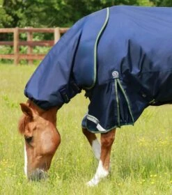 Titan 40g Turnout Rug With Snug-Fit Neck Cover 4 Titan 40g Turnout Rug With Snug-Fit Neck Cover -Premier Equine Store Titan 40 Turnout Rug Navy 3