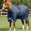 Titan 450g Original Turnout Rug