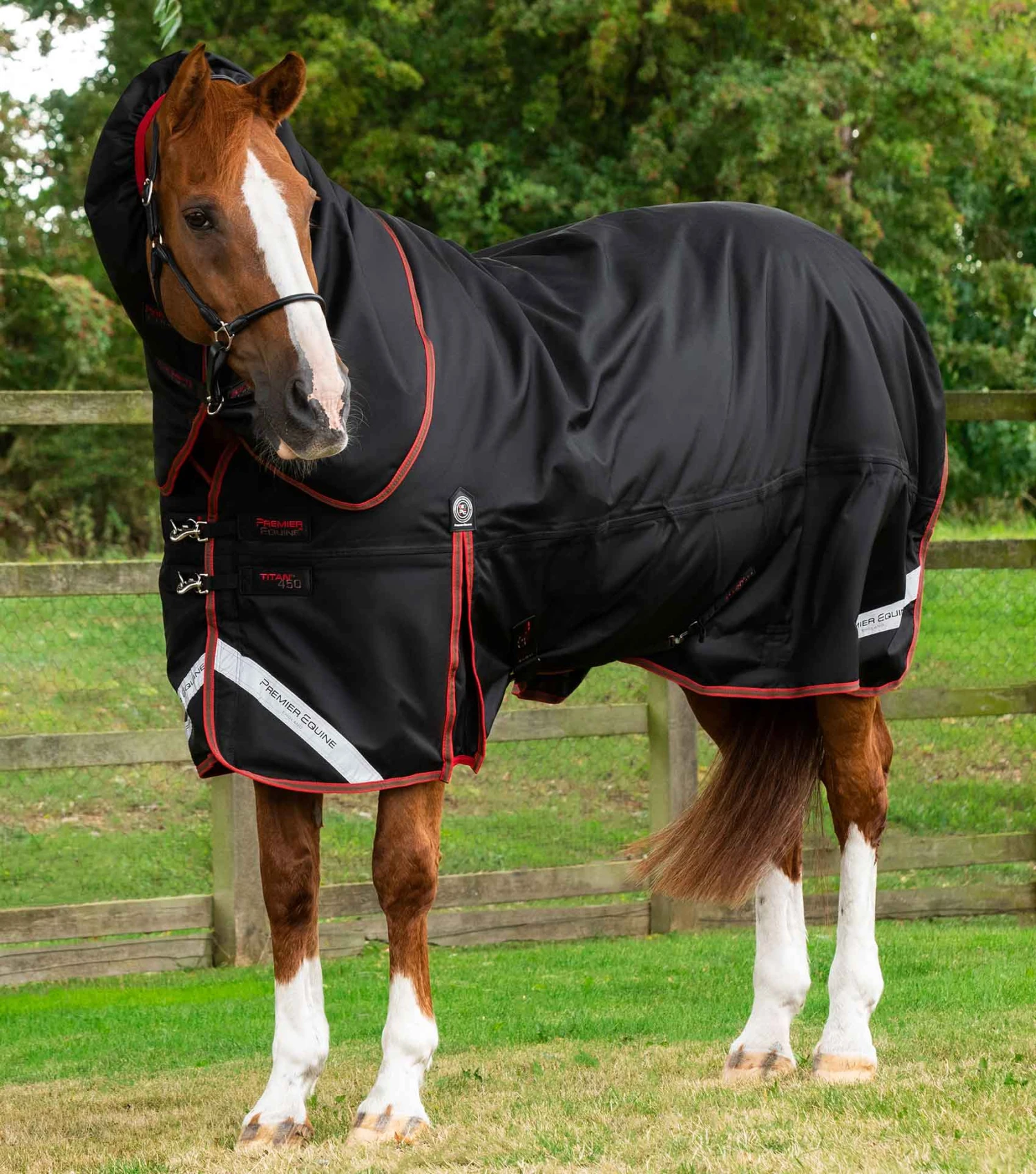 Titan 450g Turnout Rug with Snug-Fit Neck Cover Titan 450g Turnout Rug With Snug-Fit Neck Cover -Premier Equine Store Titan 450 Turnout Rug Black 1