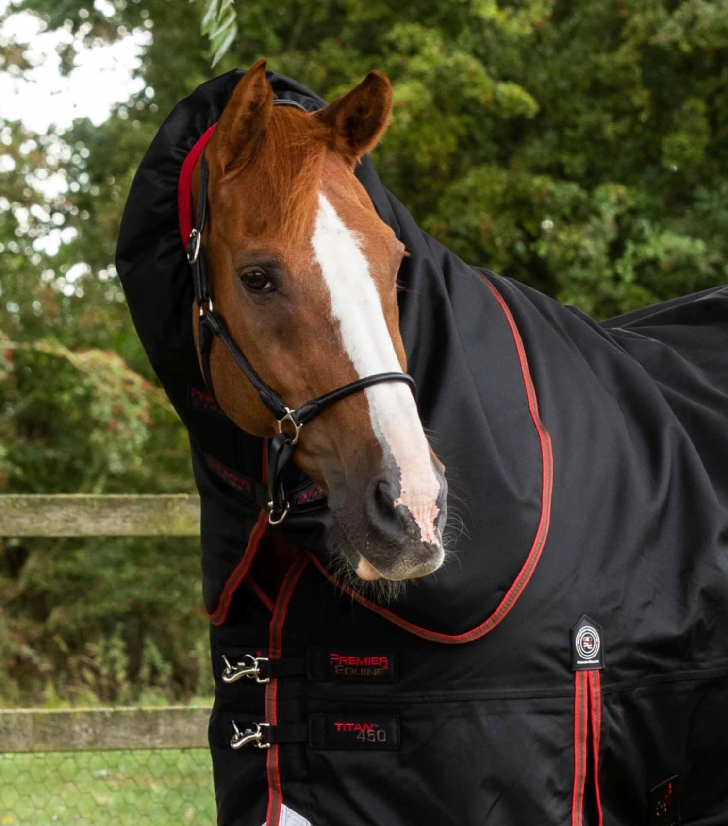 Titan 450g Turnout Rug with Snug-Fit Neck Cover Titan 450g Turnout Rug With Snug-Fit Neck Cover -Premier Equine Store Titan 450 Turnout Rug Black 2