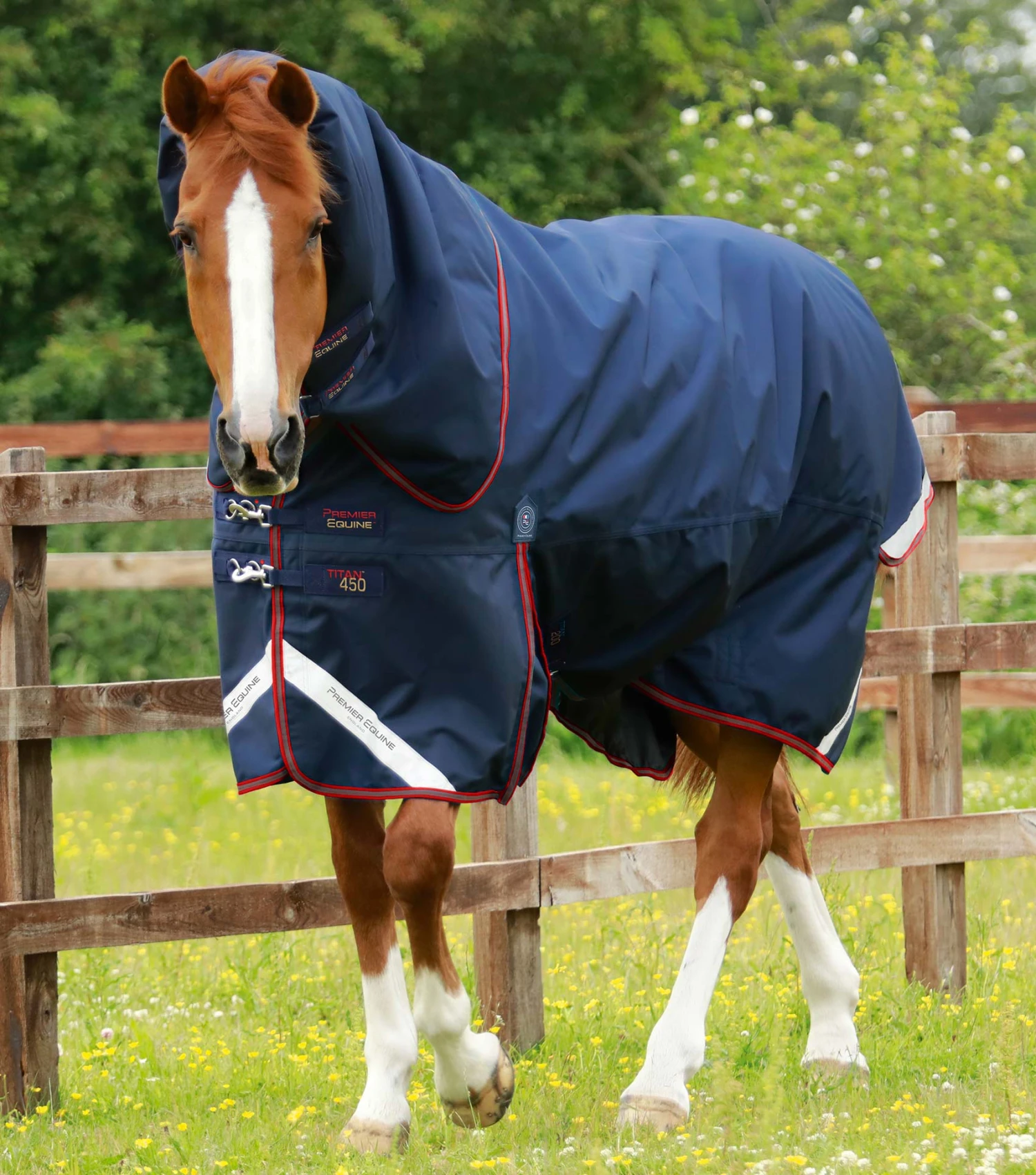 Titan 450g Turnout Rug with Snug-Fit Neck Cover Titan 450g Turnout Rug With Snug-Fit Neck Cover -Premier Equine Store Titan 450 Turnout Rug Navy 1