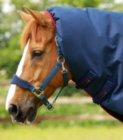 Titan 450g Turnout Rug With Snug-Fit Neck Cover 8 Titan 450g Turnout Rug With Snug-Fit Neck Cover -Premier Equine Store Titan 450 Turnout Rug Navy 2
