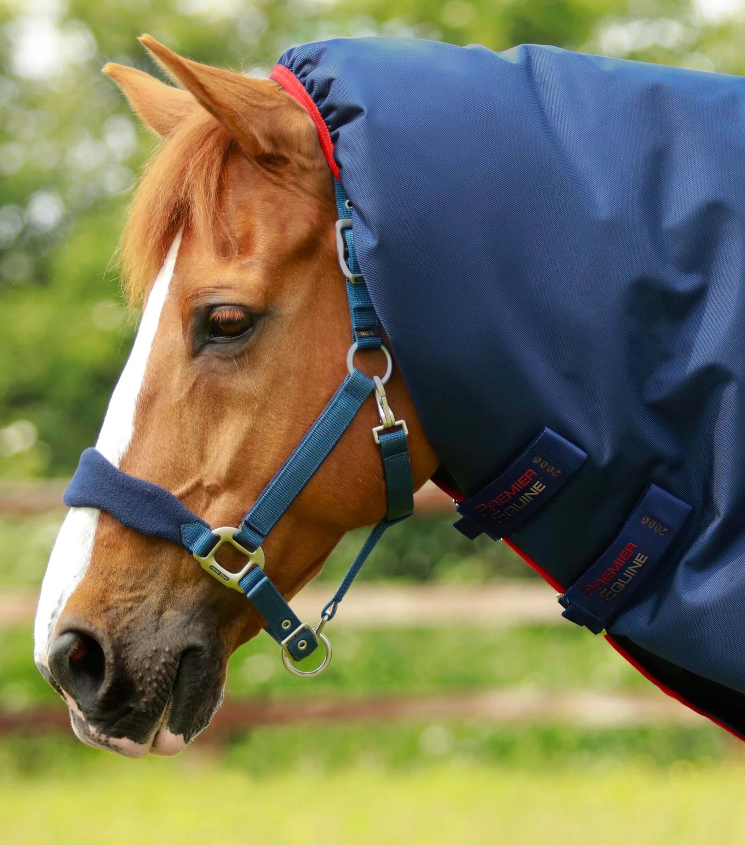 Titan 450g Turnout Rug with Snug-Fit Neck Cover Titan 450g Turnout Rug With Snug-Fit Neck Cover -Premier Equine Store Titan 450 Turnout Rug Navy 2