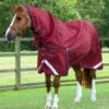 Titan 50g Turnout Rug With Classic Neck Cover 2 Titan 50g Turnout Rug With Classic Neck Cover -Premier Equine Store Titan 50g Turnout Rug inc Neck Burgundy 1