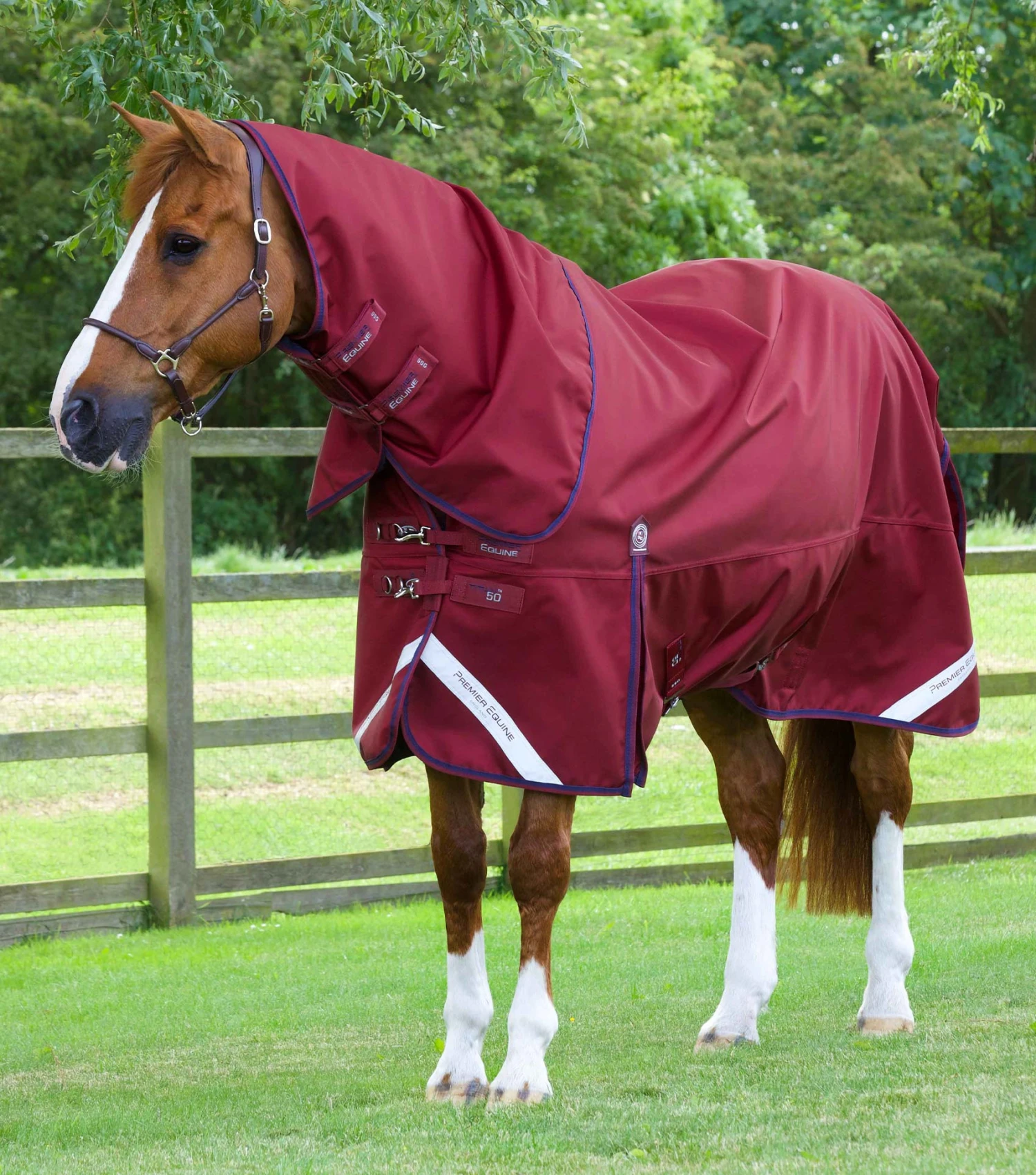 Titan 50g Turnout Rug with Classic Neck Cover Titan 50g Turnout Rug With Classic Neck Cover -Premier Equine Store Titan 50g Turnout Rug inc Neck Burgundy 1