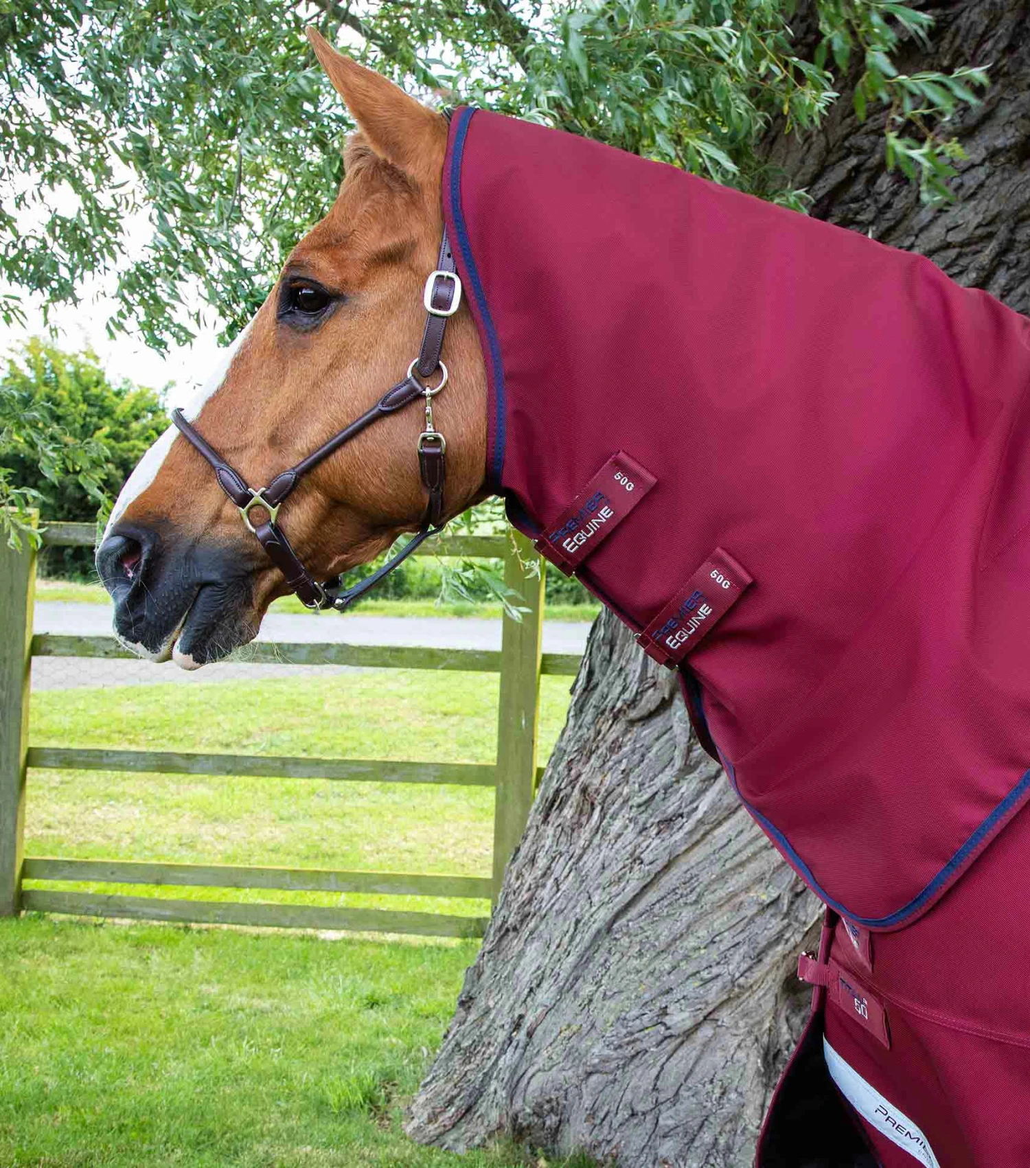 Titan 50g Turnout Rug with Classic Neck Cover Titan 50g Turnout Rug With Classic Neck Cover -Premier Equine Store Titan 50g Turnout Rug inc Neck Burgundy 2
