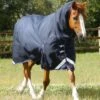 Titan Storm 200g Combo Turnout Rug With Snug-Fit Neck