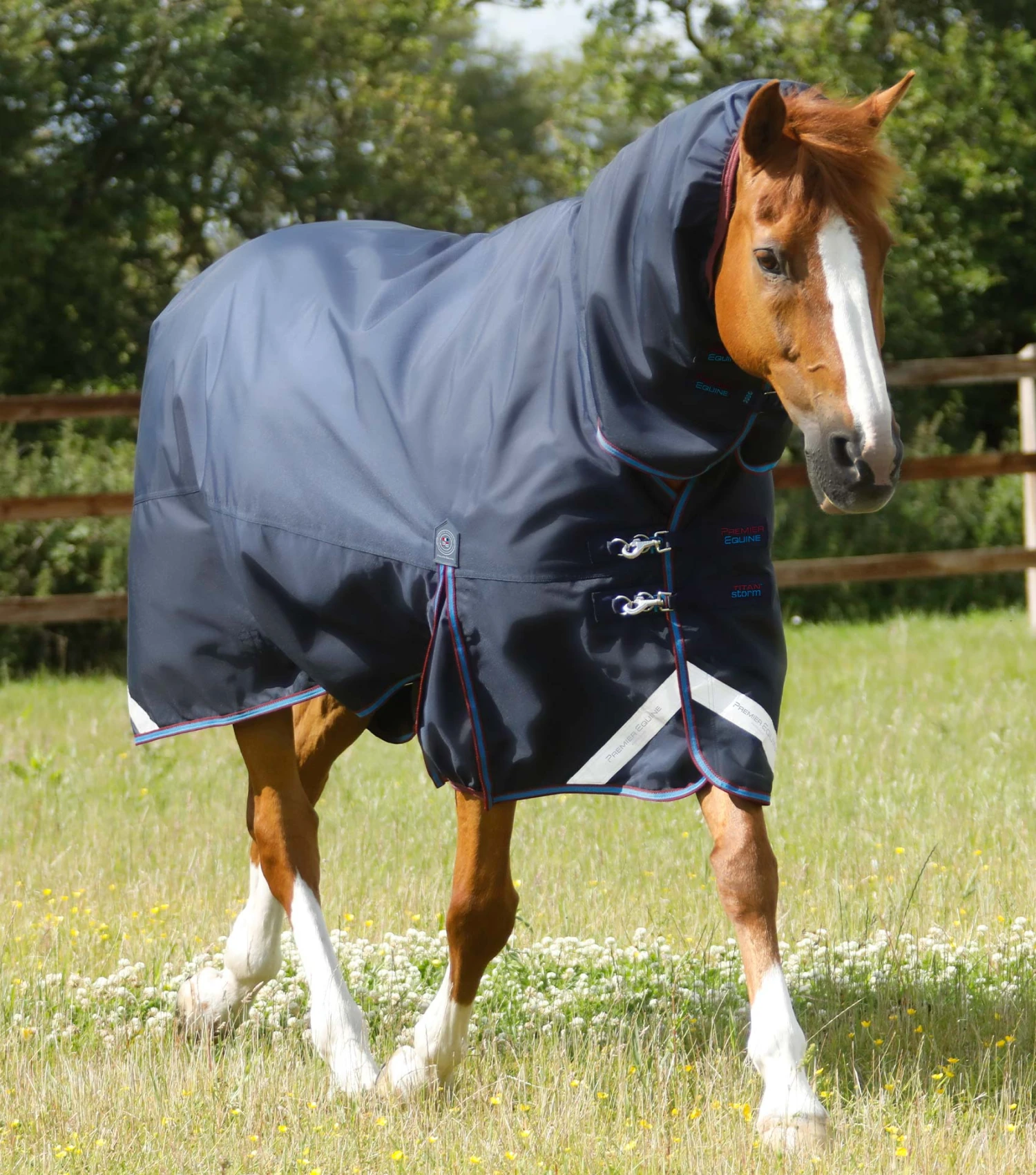 Titan Storm 200g Combo Turnout Rug with Snug-Fit Neck Titan Storm 200g Combo Turnout Rug With Snug-Fit Neck -Premier Equine Store Titan Storm 200 Turnout Rug Navy 1