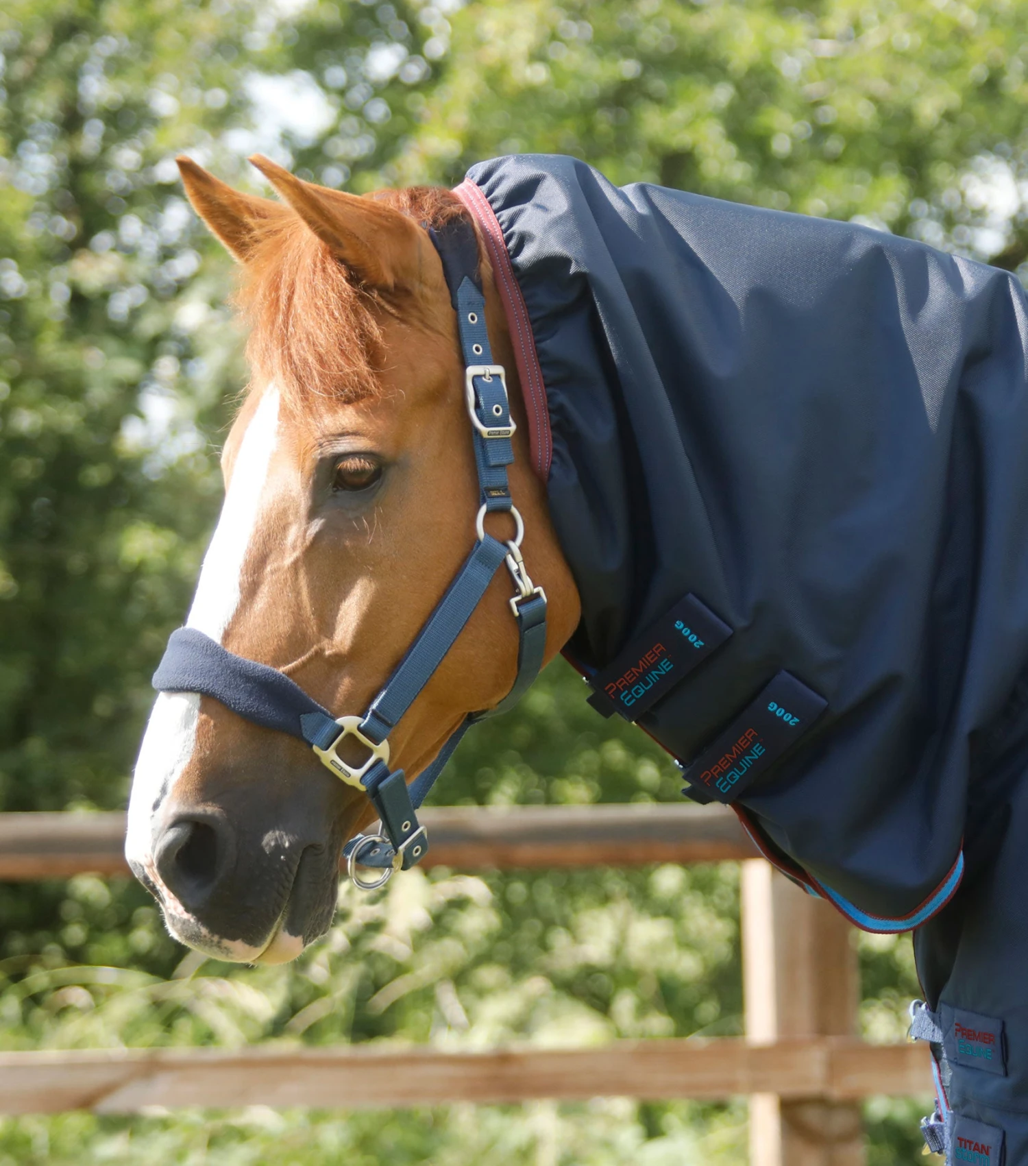 Titan Storm 200g Combo Turnout Rug with Snug-Fit Neck Titan Storm 200g Combo Turnout Rug With Snug-Fit Neck -Premier Equine Store Titan Storm 200 Turnout Rug Navy 2
