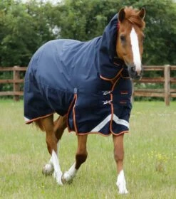 Titan Storm 450g Combo Turnout Rug With Snug-Fit Neck -Premier Equine Store Titan Storm 450 Turnout Rug Navy 1