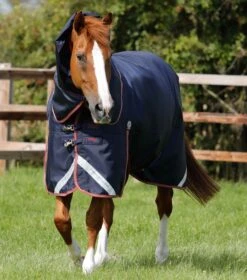 Titan Trio Complete 4 In 1 Turnout Rug