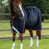 Titan Storm 450g Combo Turnout Rug With Snug-Fit Neck -Premier Equine Store TitanStorm450 1