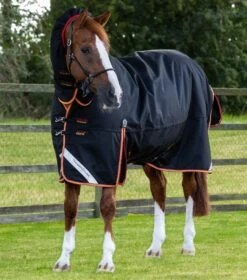 Titan Storm 450g Combo Turnout Rug With Snug-Fit Neck