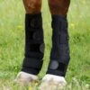 Turnout Boots -Premier Equine Store Turnout Boots 1