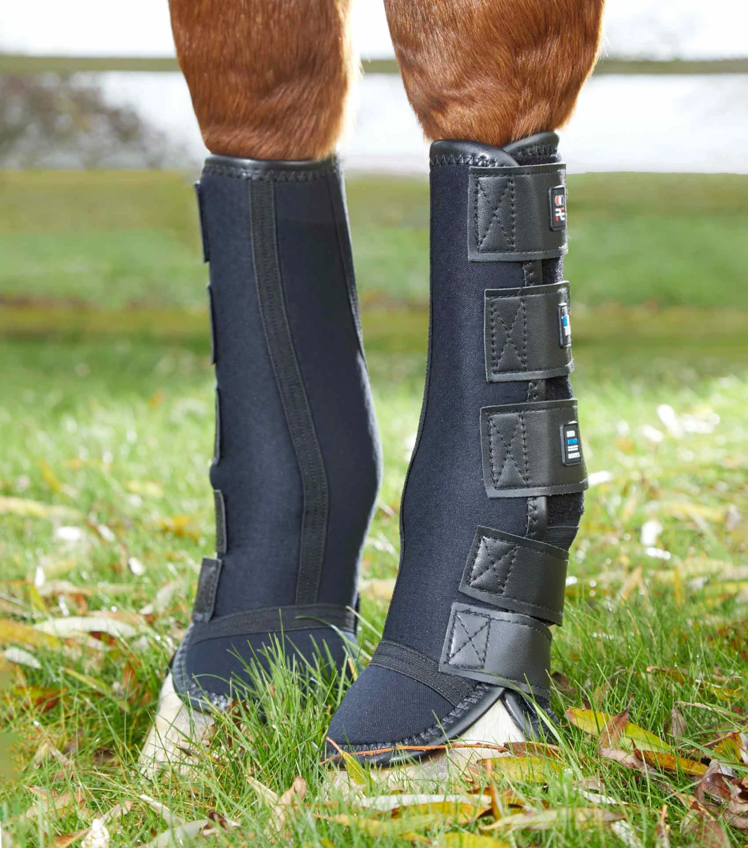 Turnout/ Mud Fever Boots Turnout/ Mud Fever Boots -Premier Equine Store Turnout Mud Fever Boots 1 ad801349 850e 4c3c 83f0 4421742eb3f2