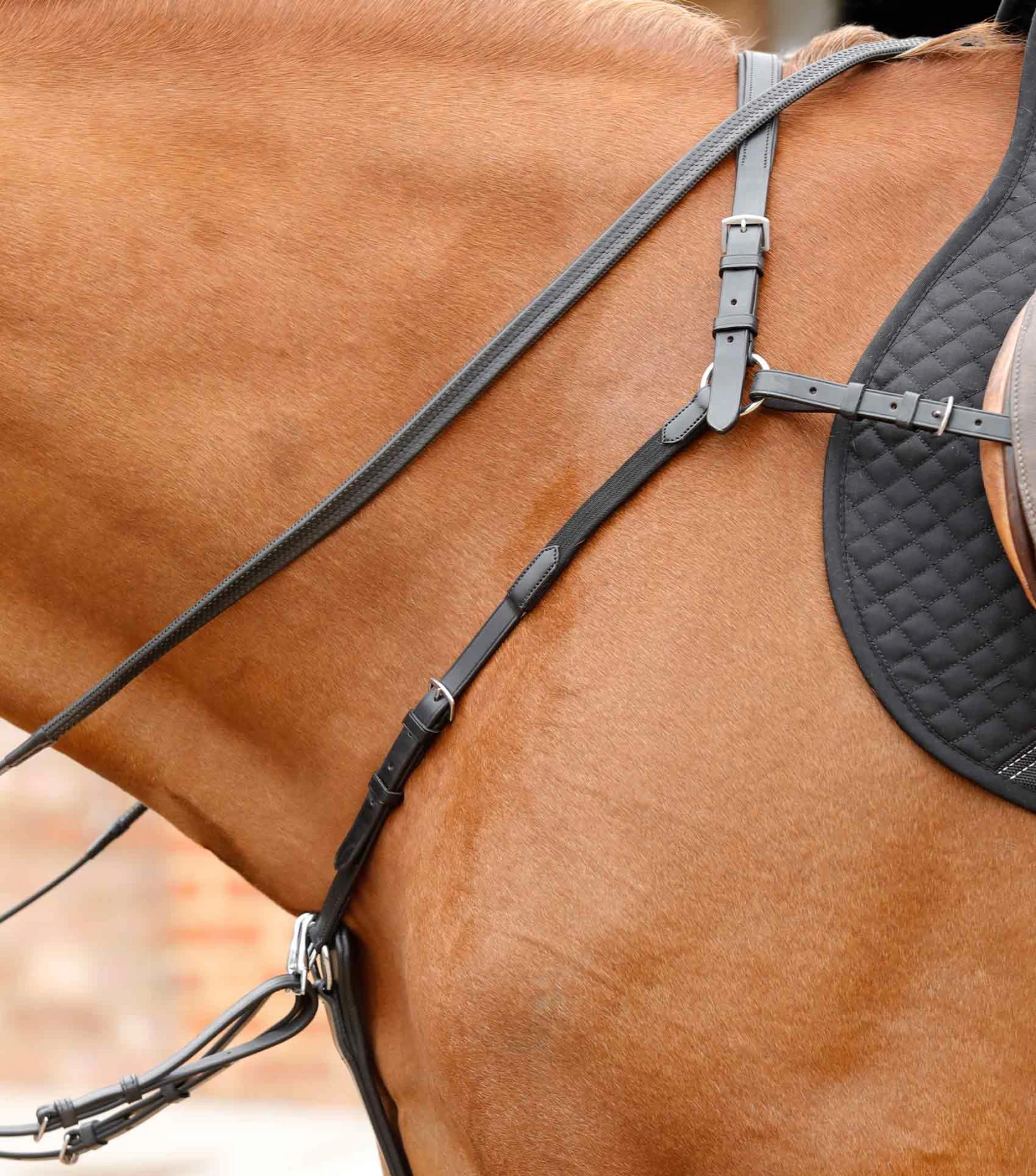 Valbrona Performance Breastplate Valbrona Performance Breastplate -Premier Equine Store Valbrona Performance Breastplate Black 2 4cf28c8b e5d2 4b05 94f7 819f19e73efc