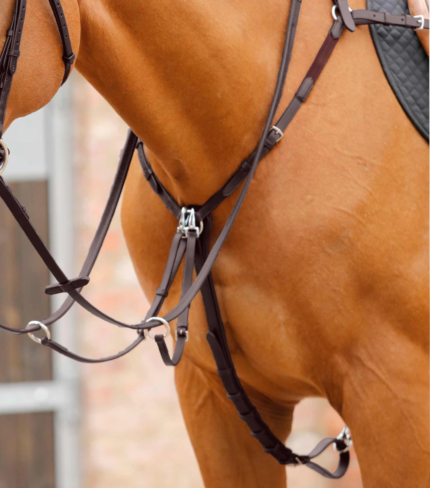 Valbrona Performance Breastplate Valbrona Performance Breastplate -Premier Equine Store Valbrona Performance Breastplate Brown 1