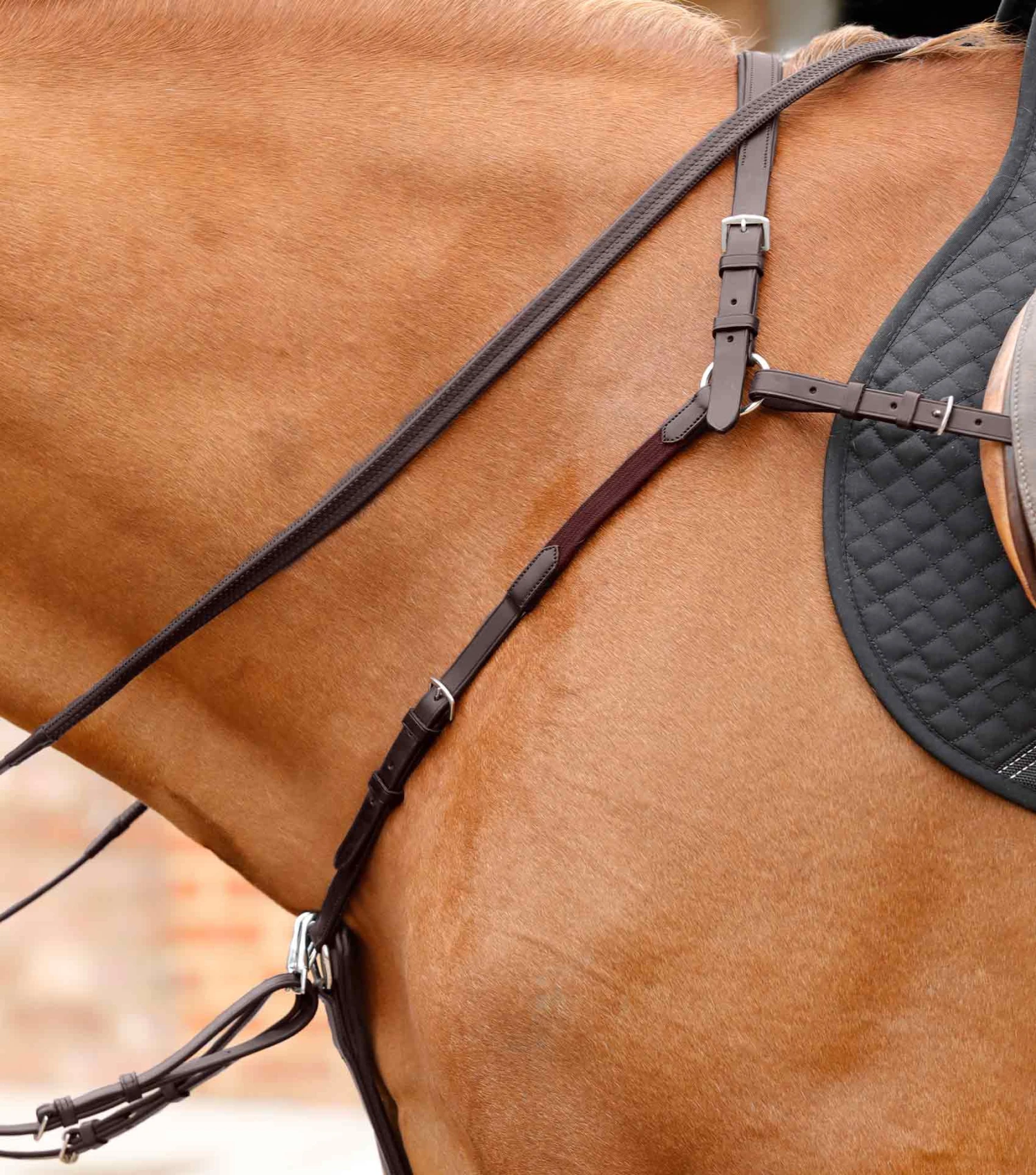 Valbrona Performance Breastplate Valbrona Performance Breastplate -Premier Equine Store Valbrona Performance Breastplate Brown 2 e5d53253 34bb 4735 bea2 e9d7f1e9b259