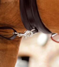 Valbrona Performance Breastplate 10 Valbrona Performance Breastplate -Premier Equine Store Valbrona Performance Breastplate Brown 4