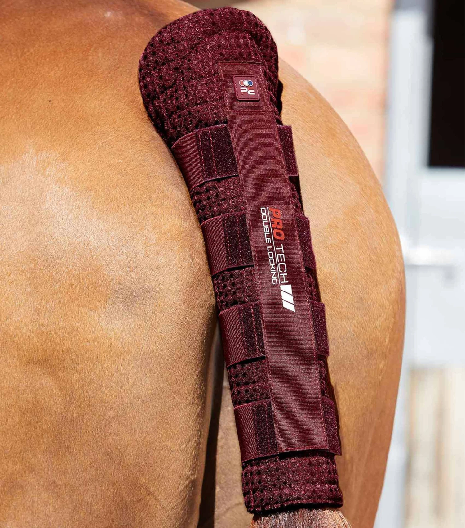 Waffle Quilted Double Locking Tail Guard Waffle Quilted Double Locking Tail Guard -Premier Equine Store Waffle Quilted Double Locking Tail Guard Burgundy 1