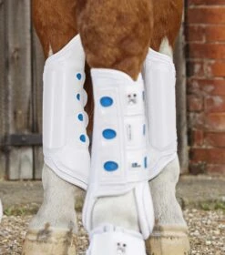 Air Cooled Original Eventing Boots -Premier Equine Store air cooled original white hind 1