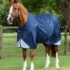 Akoni 0g Original Turnout Rug -Premier Equine Store akoni 0g original navy 1