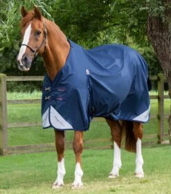 Premier Equine Store 27 Akoni 0g Original Turnout Rug