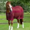 Arisca Scrim Cooler 1 Arisca Scrim Cooler -Premier Equine Store arisca scrim cooler 202250brg 100184