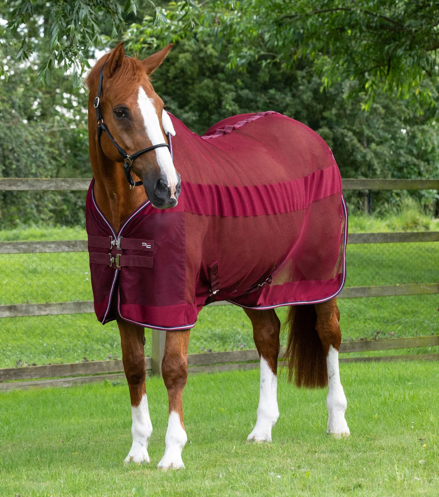 Arisca Scrim Cooler Arisca Scrim Cooler -Premier Equine Store arisca scrim cooler 202250brg 100184