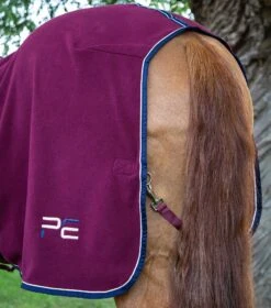 Asure Fleece Rug -Premier Equine Store asure fleece rug 201550brg 141624