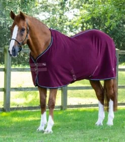 Asure Fleece Rug -Premier Equine Store asure fleece rug 201550brg 759394