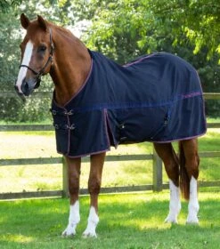 Barrasso Stable Sheet -Premier Equine Store barrasso stable sheet 201650n 427548