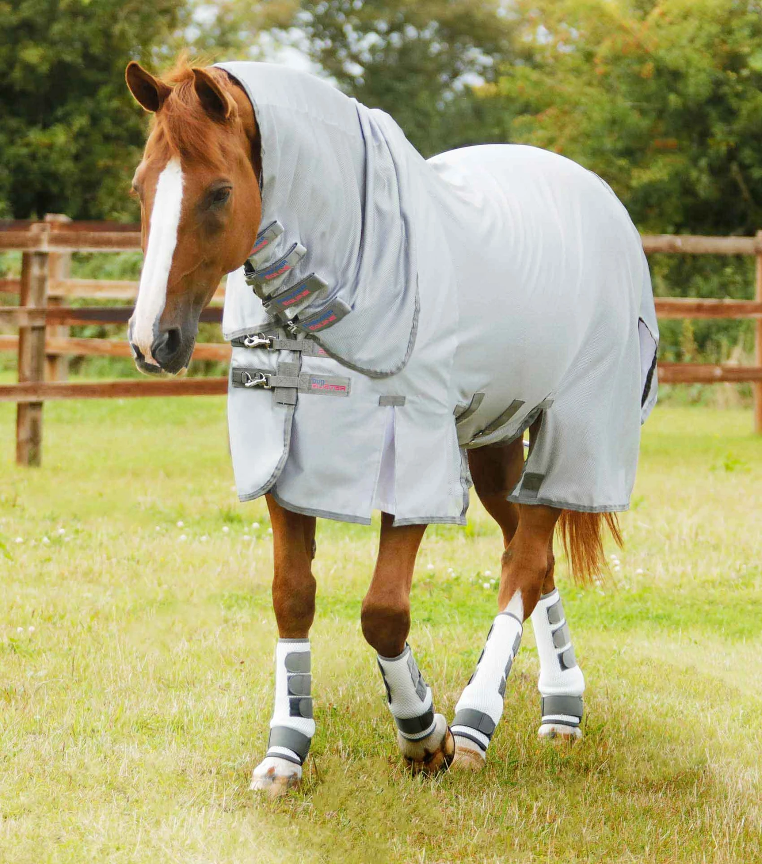Bug Buster Fly Rug with Belly Flap Bug Buster Fly Rug With Belly Flap -Premier Equine Store bug buster fly rug with belly flap 207656 259876