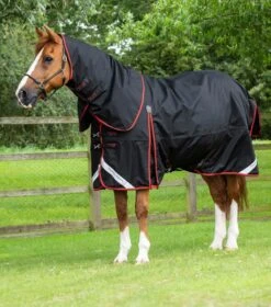 Buster 420g Turnout Rug With Classic Neck Cover -Premier Equine Store buster 420 black 1