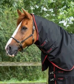 Buster 420g Turnout Rug With Classic Neck Cover -Premier Equine Store buster 420 black 2
