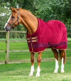 Buster Fleece Cooler Rug - Continental Edition -Premier Equine Store buster fleece cooler rug continental edition 209056brg 803921