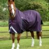 Buster Hardy 100g Half Neck Turnout Rug 2 Buster Hardy 100g Half Neck Turnout Rug -Premier Equine Store buster hardy 100 purple 1