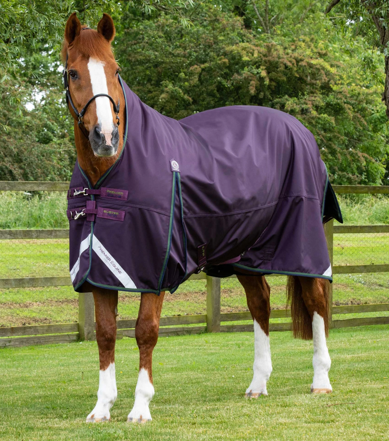 Buster Hardy 100g Half Neck Turnout Rug Buster Hardy 100g Half Neck Turnout Rug -Premier Equine Store buster hardy 100 purple 1