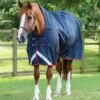 Buster Hardy 200g Half Neck Turnout Rug -Premier Equine Store buster hardy 200 navy 1