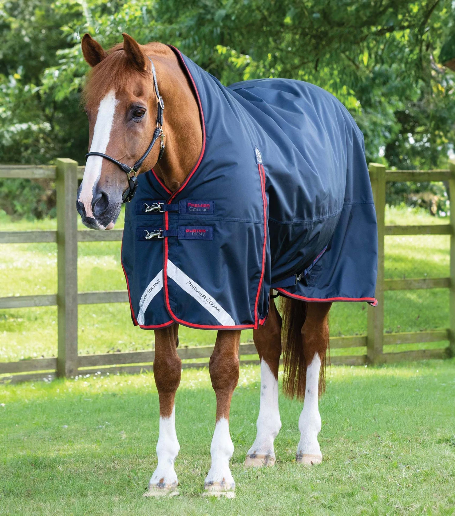Buster Hardy 200g Half Neck Turnout Rug Buster Hardy 200g Half Neck Turnout Rug -Premier Equine Store buster hardy 200 navy 1