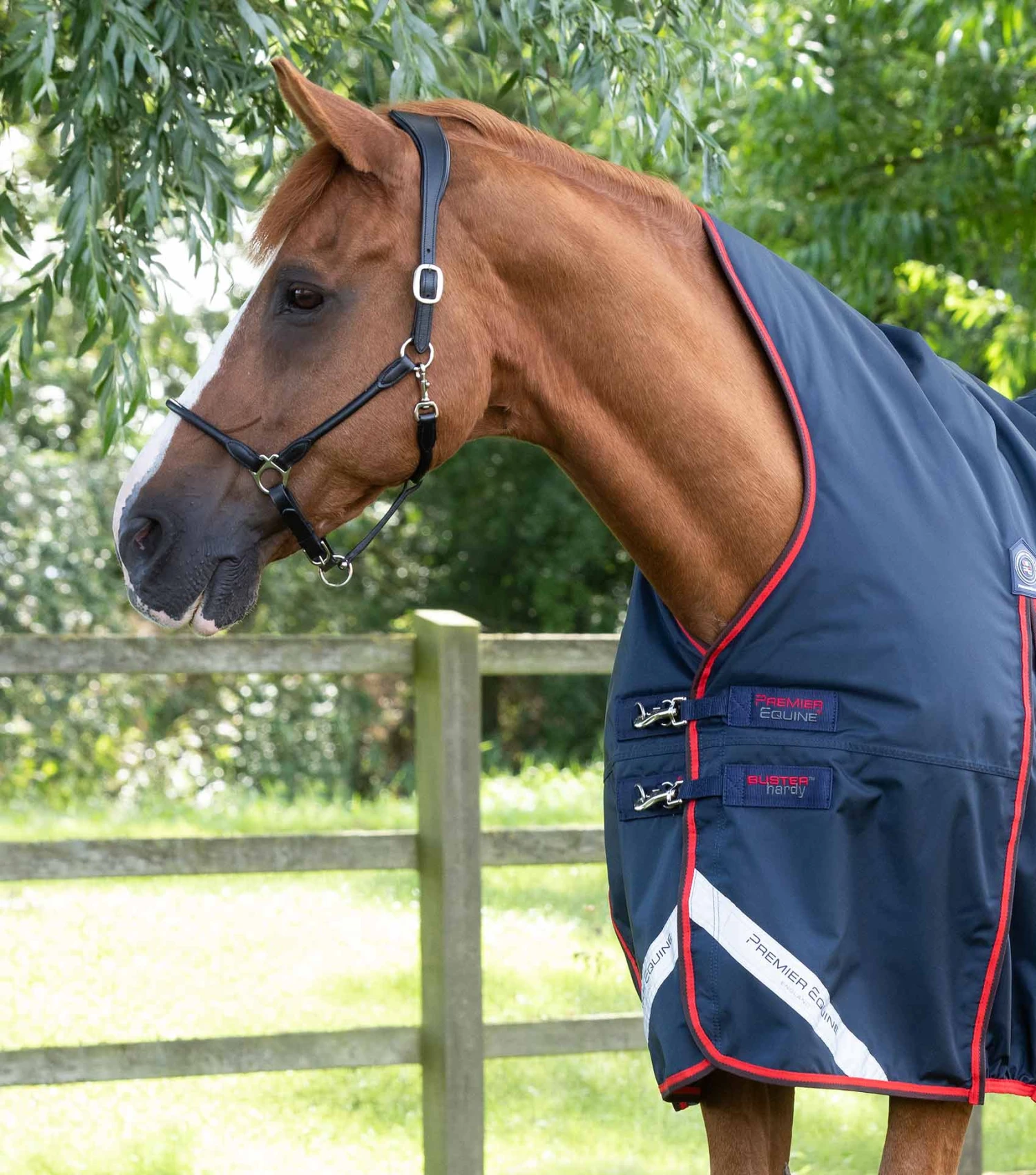 Buster Hardy 200g Half Neck Turnout Rug Buster Hardy 200g Half Neck Turnout Rug -Premier Equine Store buster hardy 200 navy 2 V2