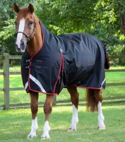 Buster Hardy 400g Half Neck Turnout Rug 7 Buster Hardy 400g Half Neck Turnout Rug -Premier Equine Store buster hardy 400 black 1