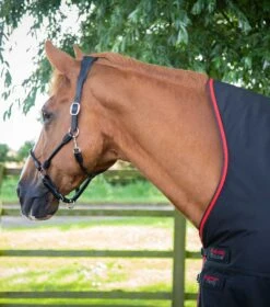 Buster Hardy 400g Half Neck Turnout Rug 8 Buster Hardy 400g Half Neck Turnout Rug -Premier Equine Store buster hardy 400 black 2