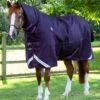 Buster Storm 420g Combo Turnout Rug With Classic Neck 2 Buster Storm 420g Combo Turnout Rug With Classic Neck -Premier Equine Store buster storm 420 purple 1 9439696b d0ad 4995 9247 7028bfe8b16b