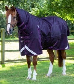 Buster Storm 420g Combo Turnout Rug With Classic Neck