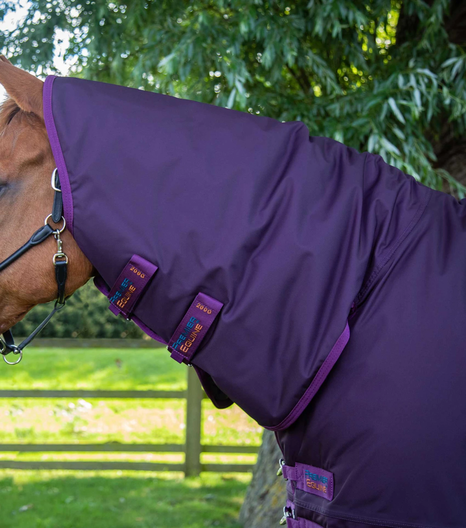 Buster Storm 420g Combo Turnout Rug with Classic Neck Buster Storm 420g Combo Turnout Rug With Classic Neck -Premier Equine Store buster storm 420 purple 2