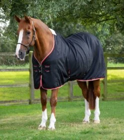 Buster Waffle Horse Cooler Rug -Premier Equine Store buster waffle horse cooler rug 209256blk 157554