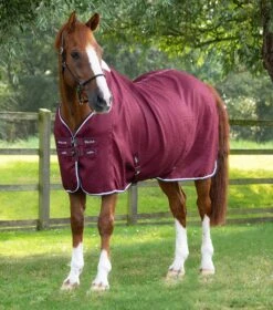 Buster Waffle Horse Cooler Rug